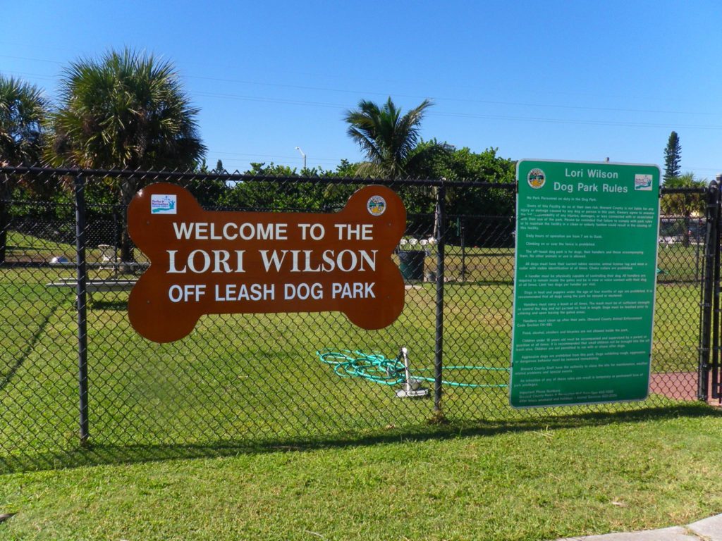 lori wilson park